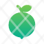 guava-green-healthy-icon