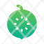 guava-green-slice-healthy-icon