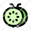 guava-green-slice-icon