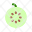 guava-green-slice-icon