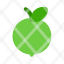 guava-green-soar-small-icon