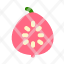 guava-red-slice-healthy-icon