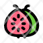 guava-red-slice-icon