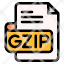 gzip-file-type-format-extension-document-icon