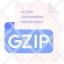 gzip-file-type-format-extension-document-icon