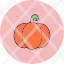 halloween-orange-pumpkin-squash-vegetable-winter-icon