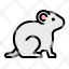 hamster-zoology-rodent-animal-kingdom-icon
