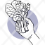 hand-holding-vege-vegetables-lettuce-food-plant-pictogram-icon