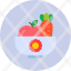 healthy-food-vegetable-vegetables-salad-icon