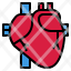 heart-cardiac-body-human-live-icon