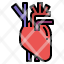 heart-organ-human-medicine-anatomy-icon