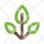 herb-branch-leaves-botany-plant-garden-ecology-icon