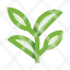 herb-branch-leaves-botany-plant-sprout-tea-icon