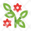 herb-branch-leaves-flowers-plant-floral-garden-icon