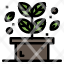 herb-leaf-plant-spa-icon