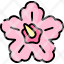 hibiscus-icon