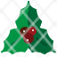 holly-berry-leaf-christmas-celebration-tradition-festival-icon-icon