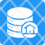 home-icon