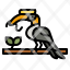 hornbill-bird-entertainment-feather-zoo-icon
