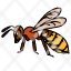 hornet-pest-entomology-insects-animal-wasp-stings-icon