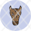 horseequestrian-horseriding-pony-riding-icon