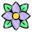 hydrangea-flower-plant-blossom-garden-floral-nature-icon