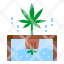 hydroponic-cannabis-plant-marijuana-grow-icon