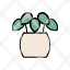 hypoestes-garden-plant-environment-houseplant-polka-dot-plant-icon