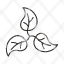 icons-leaf-icon