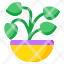 indoor-plant-decorative-plant-houseplant-plant-pot-nature-icon
