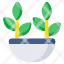 indoor-plant-decorative-plant-houseplant-potted-plant-nature-icon