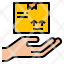 insurance-delivery-hand-package-icon