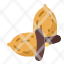 isolated-hazelnut-nut-brown-food-icon