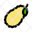 jackfruit-food-healthy-icon