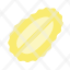 jackfruit-slice-seed-icon