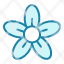 jasmine-flower-plant-blossom-garden-floral-nature-icon