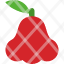 java-apple-fruit-food-healthy-fresh-icon