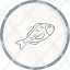 jew-fish-animal-ocean-water-icon