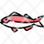 jewfish-icon