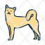 jindo-dog-icon