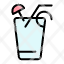 juice-drink-food-spring-icon