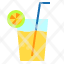 juice-icon