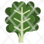 kale-salad-leaf-vegetable-green-icon
