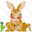 kangaroo-australia-animal-wild-wildlife-mammal-icon