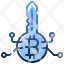 key-bitcoin-cryptocurrency-security-currency-icon