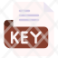 key-file-type-format-extension-document-icon