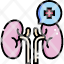 kidney-icon