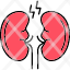 kidney-organ-medical-human-health-icon