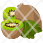kiwifruit-food-organic-vegan-healthy-diet-vegetarian-restaurant-icon