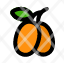 kumquat-fresh-healthy-fruit-icon